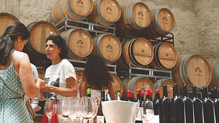 Winery Visit, Wine Tasting, and Gastronomy