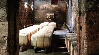 Cata de vinos y visita clásica al Château du Taillan