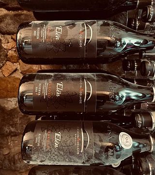 Barolo Crus-Erlebnis in der Cascina Adelaide
