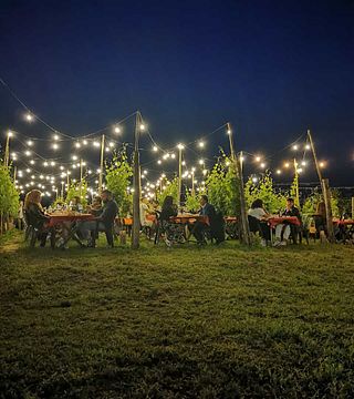 Taste Piedmont Wines on a Panoramic Vineyard Terrace
