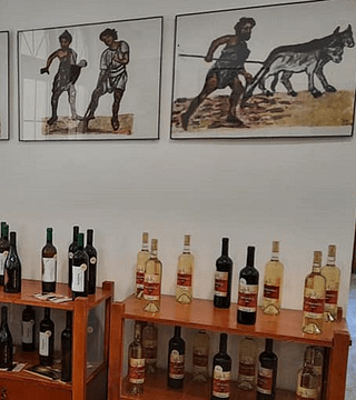Visite privée de la région viticole de Tikvesh avec dégustation de vins 
