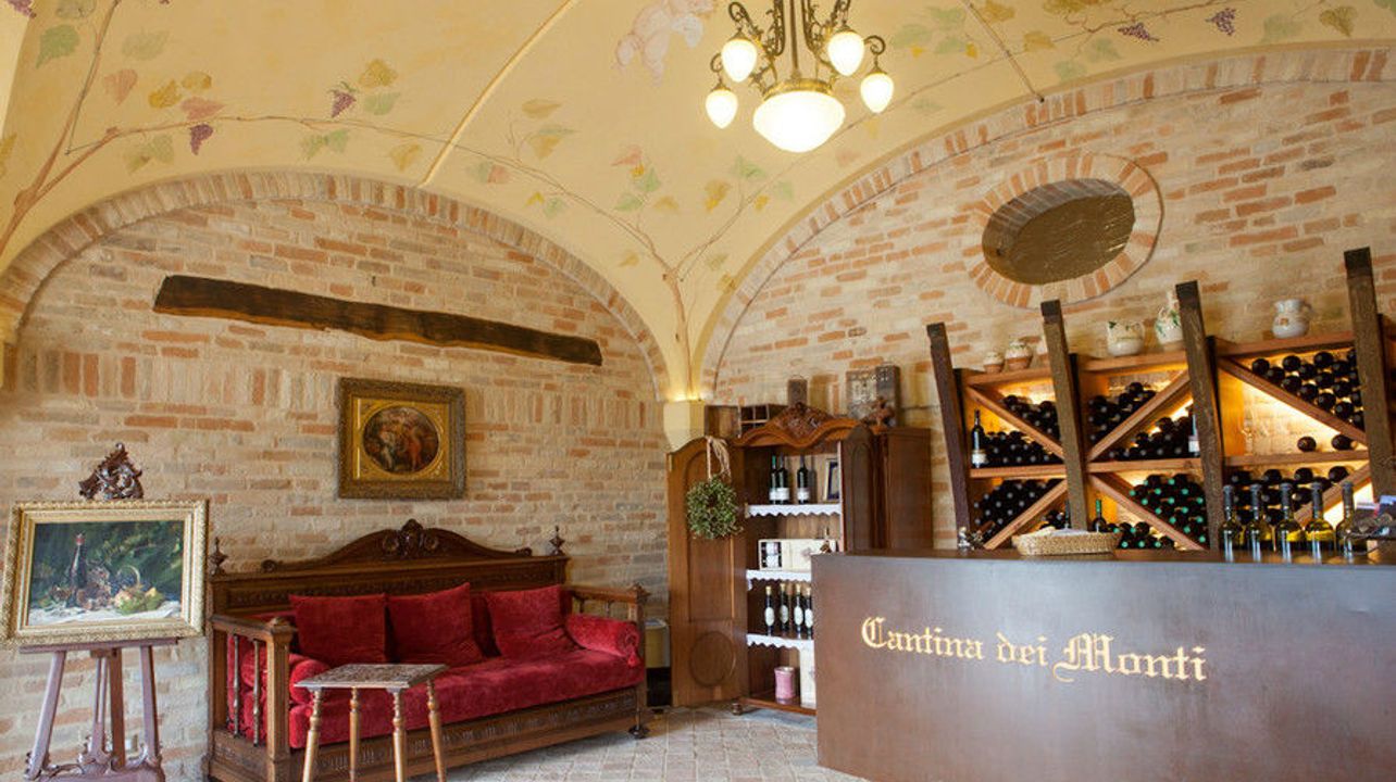 Visite et dégustation de vins à la Cantina dei Monti