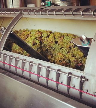 Domaine Treloar