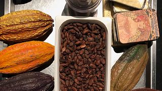 Fuga intima con champagne e cioccolato - Fuga da Barcellona per un giorno