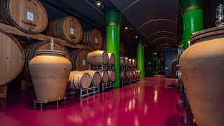 Cata de vinos en Garesio
