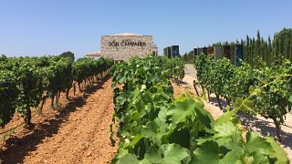 Bodega Son Campaner