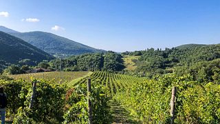 Wein- und Olivenölverkostung