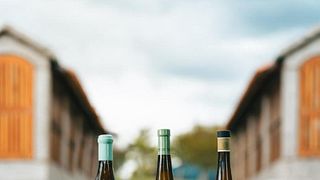 Découvrir Loureiro