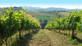 Villa Imperium Winery