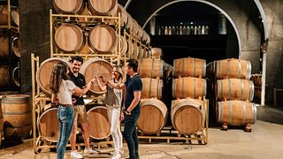 Tour giornaliero di una cantina premium: due delle migliori cantine della Ribera del Duero
