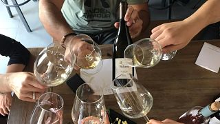 Dégustation de vins et visite de la cave Idaia
