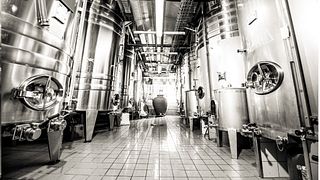 Degustazione di 3 Champagne