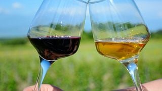 Experiencias de cata en Didgori Winemaking