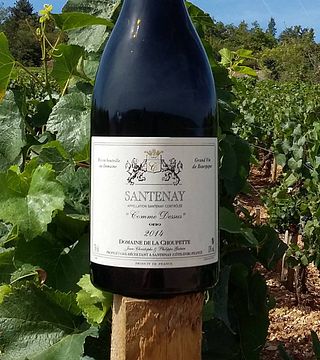 Domaine de la Choupette | Gutrin Fils