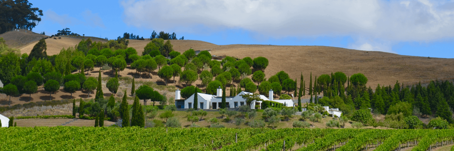 Hawke's Bay