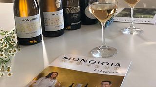 Cata de vinos y visita guiada en Mongioia