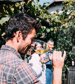 Dégustation de vins biologiques au domaine Niedermayr