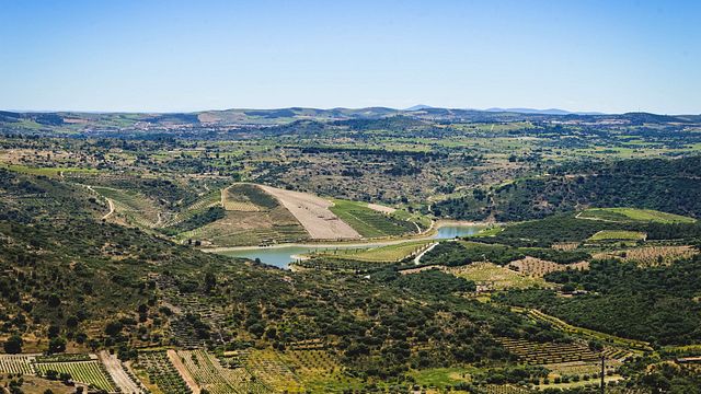 Dégustation de vins et déjeuner à Quinta da Vineadouro
