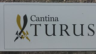Dégustation de vins et visite à la Cantina Turus