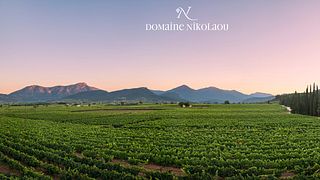 Degustação de vinhos e tour no Domaine Nikolaou