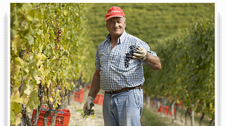 Marchesi Di Gresy