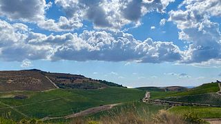 Sciaranuova Etna Winery