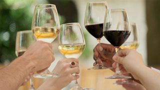 Tour de dia inteiro em Bordeaux: Degustação de vinhos e almoço 