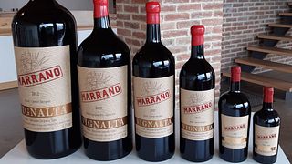 Degustazione e tour di vini a Vignalta