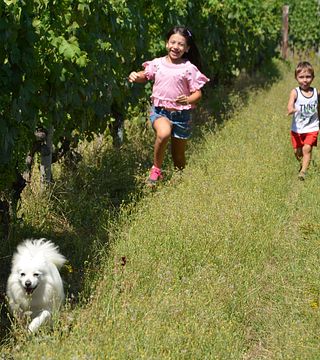 Vinprovning och rundtur på Vitivinicola Bellati