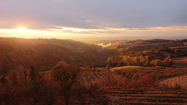 Azienda Agricola Anna Maria Abbonaoncucco