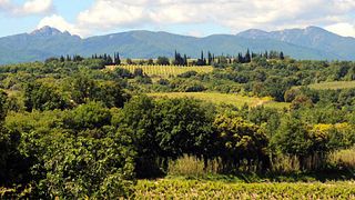 Languedoc-Roussillon: A Sensory Wine Journey