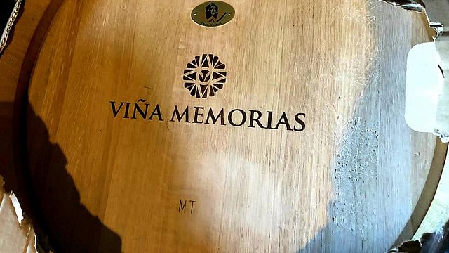 Dégustation de vins et visite de la cave Viña Memorias