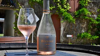 Weinprobe und Tour im Château Guipière