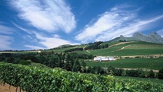 Zeit in einem Apartment bei Ladybird Vineyards verbringen