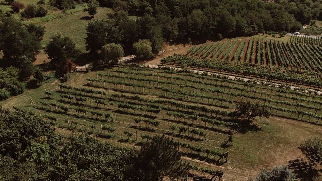 Sabores de la región de Badacsony en VáliBor