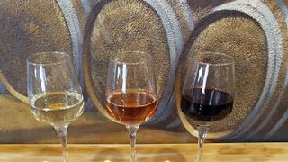 Visita Guiada + Degustação de Harmonização de Vinhos