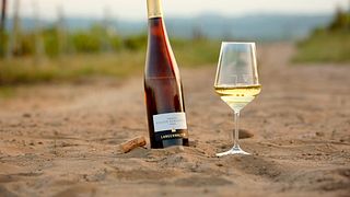 Degustação de vinhos e tour em Weingut Langenwalter
