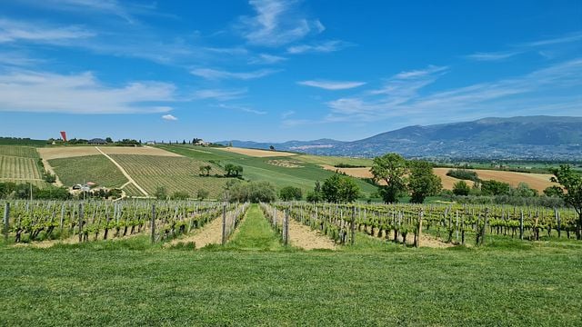 Umbria Wine Lovers Tour l Montefalco & Bevagna l Small Group experience