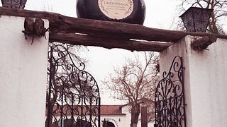Aconcagua Premium Wine & Culture Journey