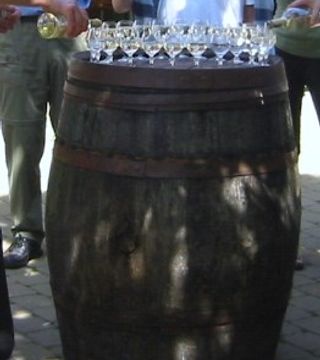 Tour a piedi dei vigneti