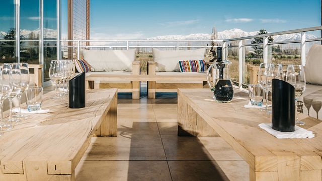 Mendoza Malbec & Andes Vineyard Tour at Matervini