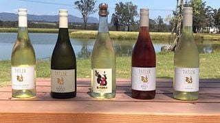 Degustazione di vini popolare presso Tatler Wines