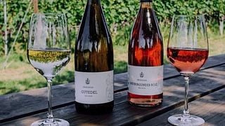 Cata de vinos y visita guiada en Weingut Zähringer
