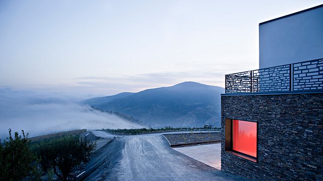 Andalusia's High-Altitude Organic Wine Journey