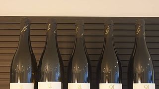 Degustação de tintos e brancos no Domaine Jeannot