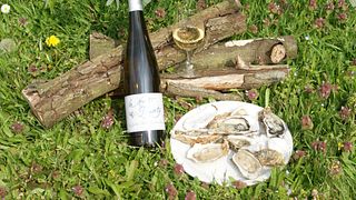 Degustazione di vini e visita al Domaine du Haut Planty