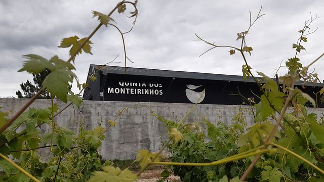 Prova de vinhos 3 - Especial na Quinta dos Monteirinhos