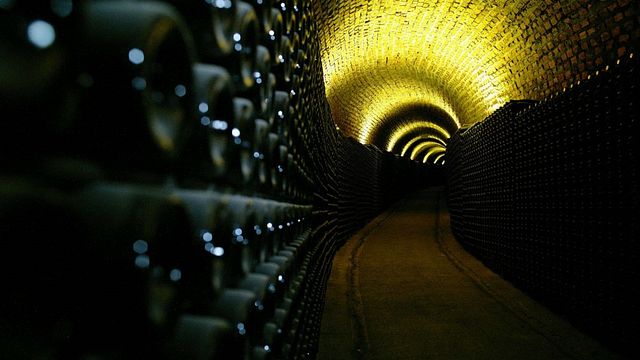 Premium Private Bairrada Wine Tour: Besök 3 vingårdar med vinprovningar och lunch