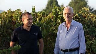 Cata de vinos y visita guiada en Cantine De Falco