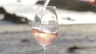 Dégustation de vins du domaine à Lomond Winery